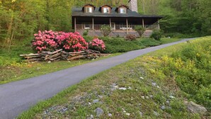 A cabin with a porch, surrounded by lush greenery and a stone chimney.