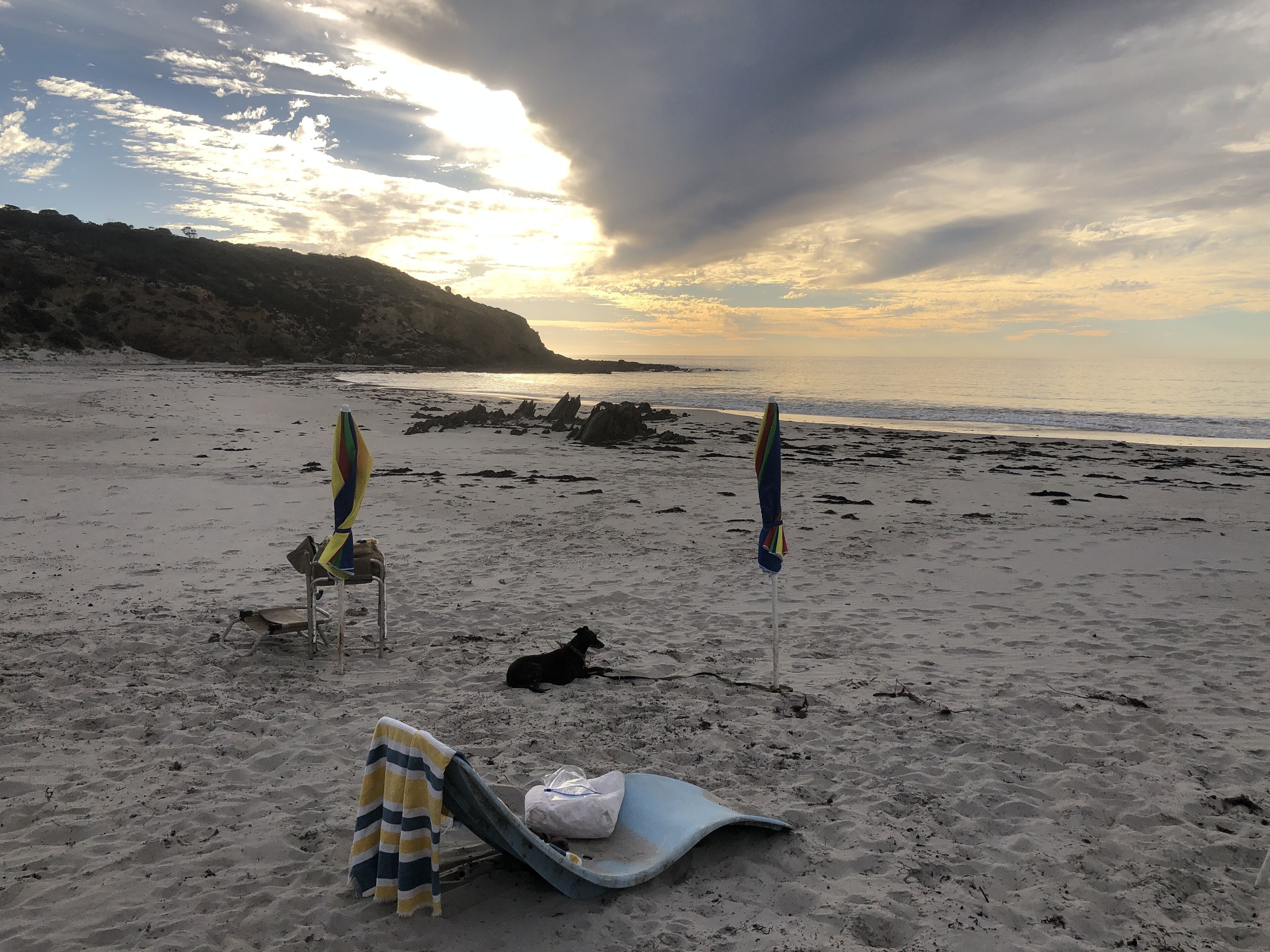 Ein Strand mit zwei Sonnenschirmen, einem Liegestuhl und einem Hund.