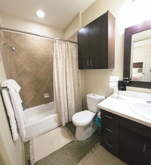 Une salle de bain avec une baignoire, des toilettes et un lavabo.
