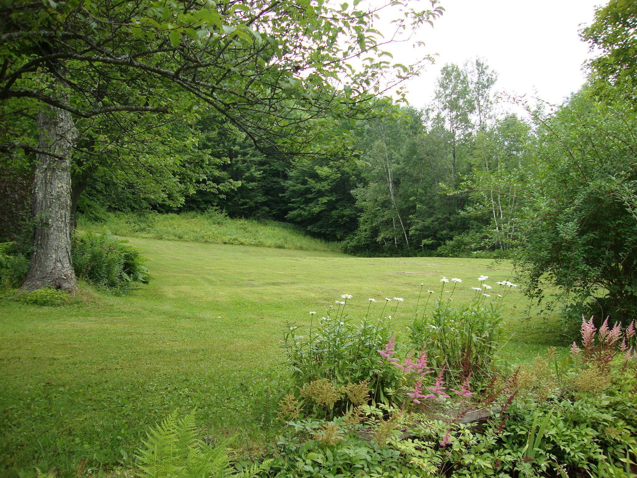 Ein grasbewachsenes Feld mit Bäumen und Wildblumen.