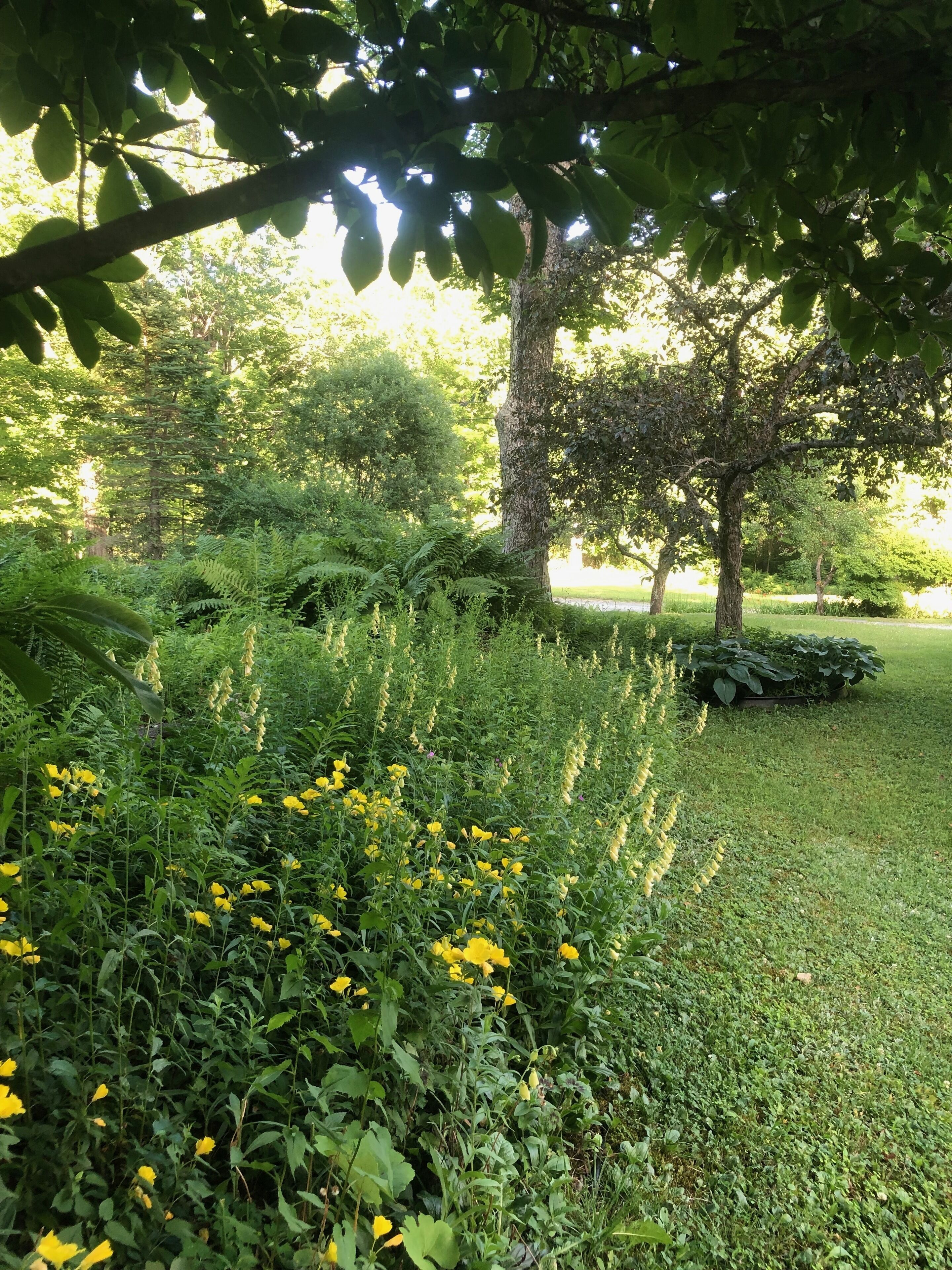 Overnattingsstedets uteområder