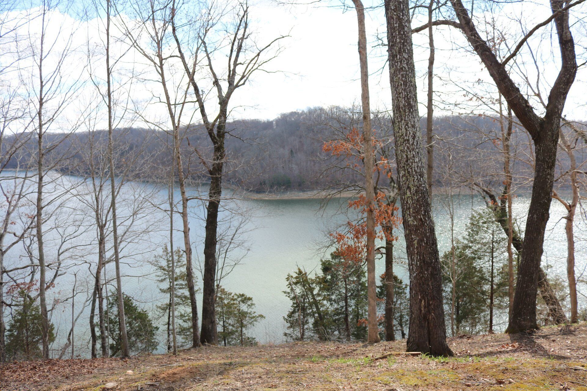A natural landscape with a lake, trees, and a forested area.