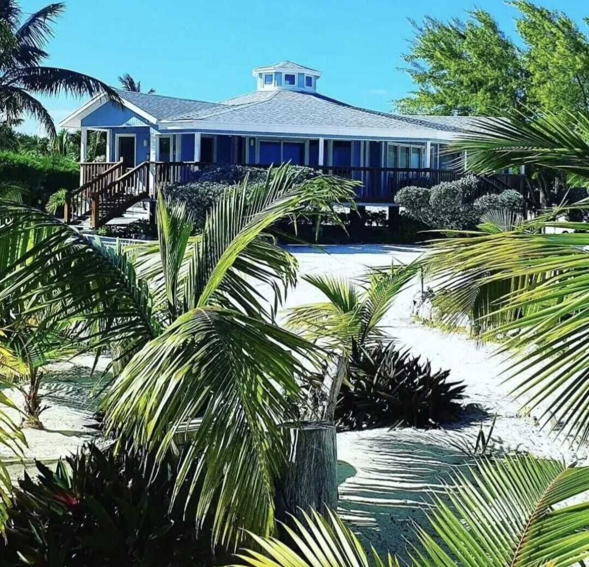 オーナーのプロフィール画像