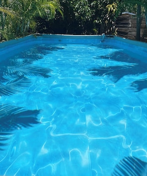 A clear blue pool surrounded by lush greenery. - Mediterranean Style Cottage in Miami's Upper East Side (Miami)
