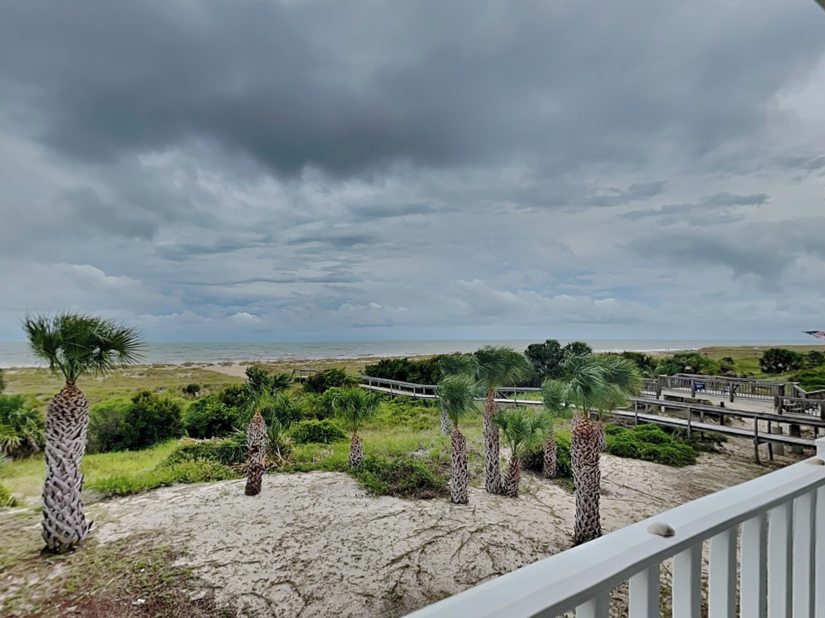 A coastal view with a wooden deck overlooking the beach and ocean, surrounded by palm trees and greenery.