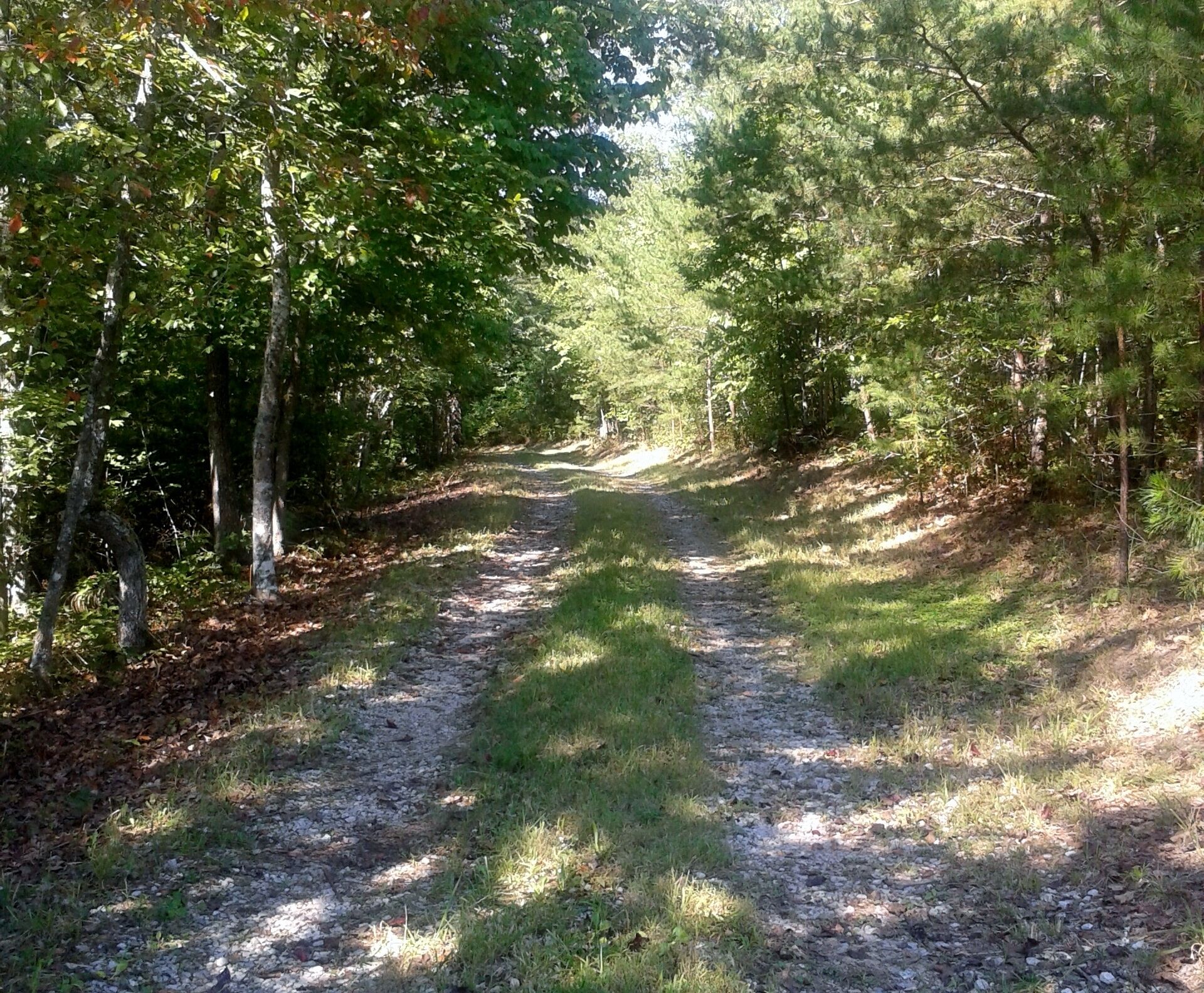 Clear View Retreat: Cabins in the woods near Obed, Catoosa, Crossville, & more