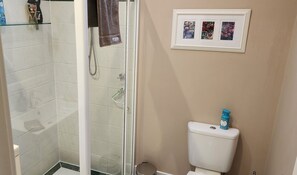 Regadera, secadora de cabello, toallas, jabón 