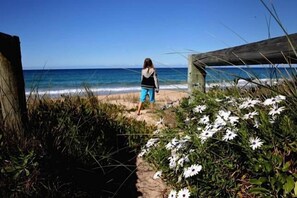 On the beach, sun-loungers