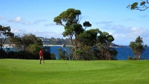 A golf course with a clear view of the ocean and a person in a red shirt preparing to take a shot. - ABSOLUTE Mollymook BEACHFRONT- Direct beach access  and views / Wifi / Smart TV  (Mollymook Beach)