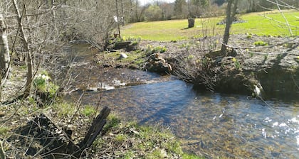 The Cabin at Maggie's Farm on rushing Tucker Creek, trout pond, Blue Ridge Pkwy