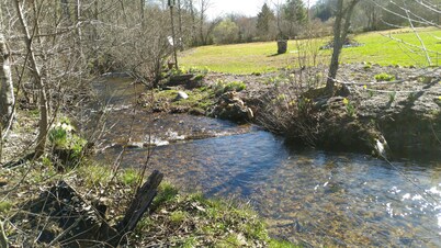 The Cabin at Maggie's Farm on rushing Tucker Creek, trout pond, Blue Ridge Pkwy