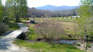 Property grounds - The Cabin at Maggie's Farm on rushing Tucker Creek, trout pond, Blue Ridge Pkwy  (Balsam Grove)