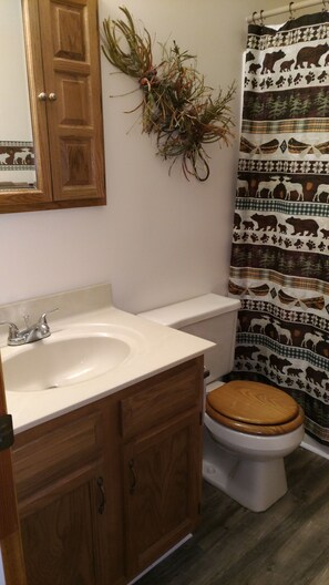 Secador de pelo, toallas, jabón, shampoo