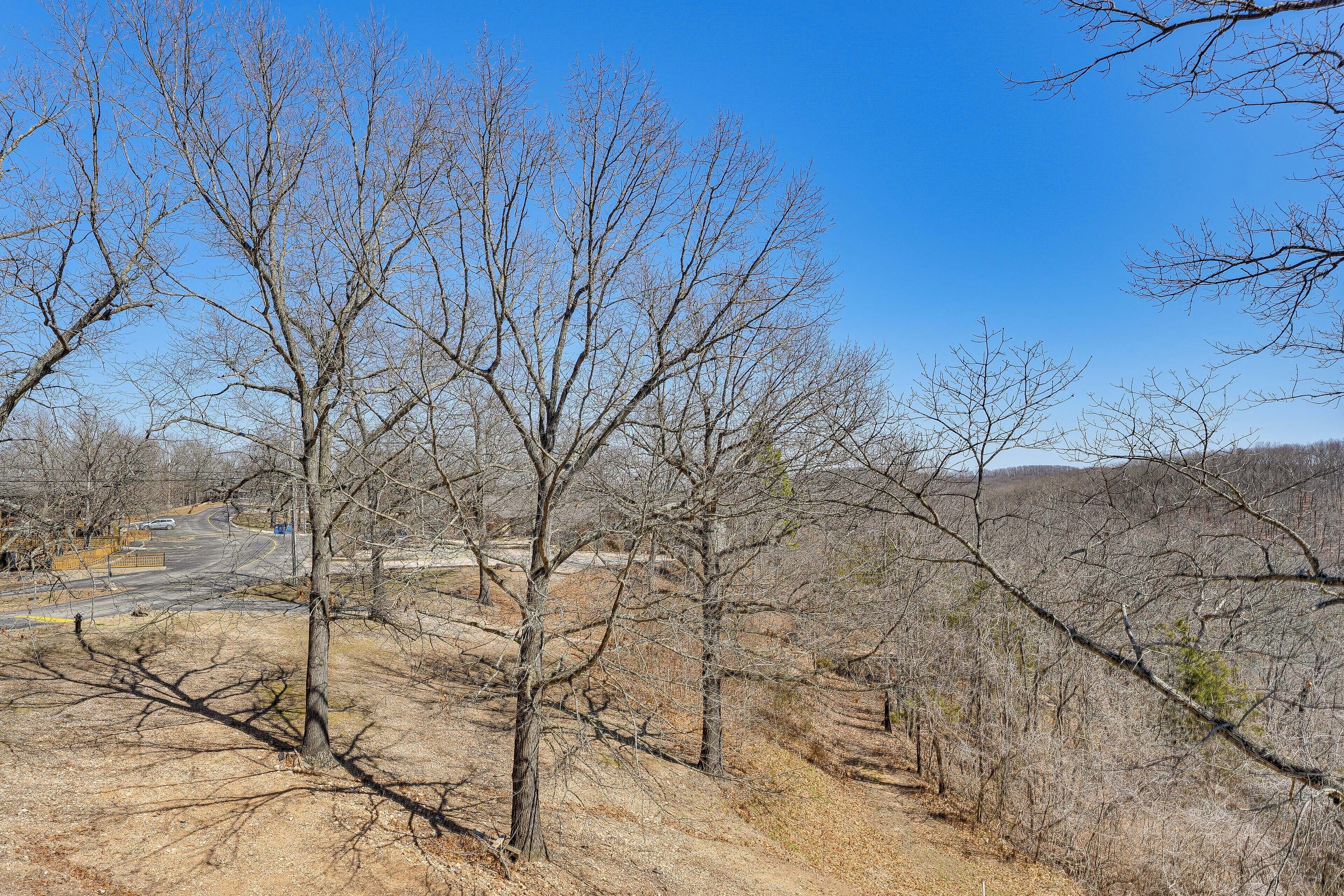 A dry, leafless landscape with sparse trees and a clear blue sky.