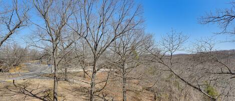 A dry, leafless landscape with sparse trees and a clear blue sky.