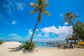 Beach area