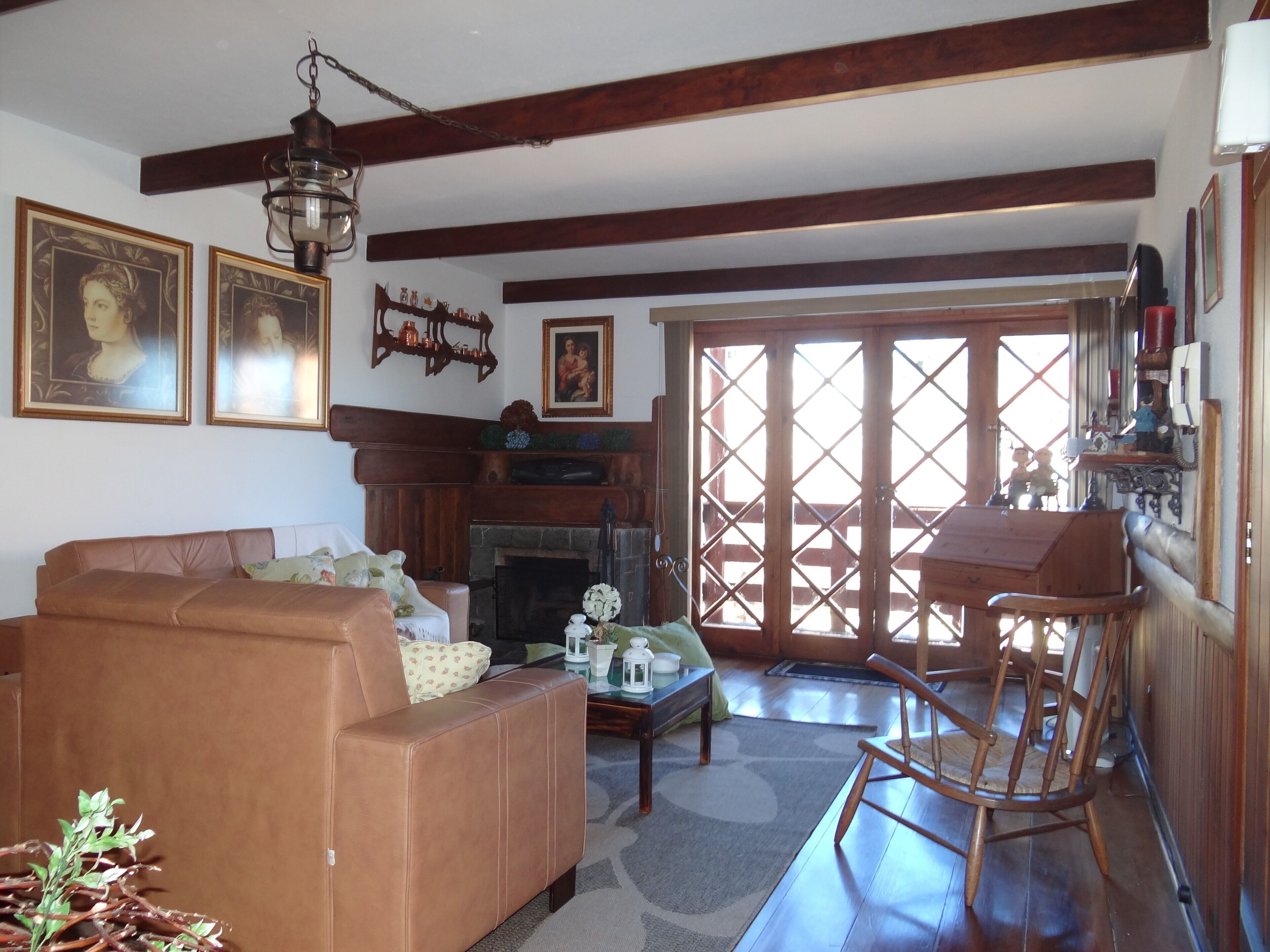 TV, lareira, DVD player, livros