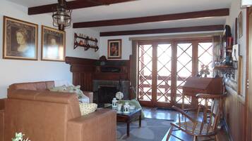 TV, lareira, DVD player, livros