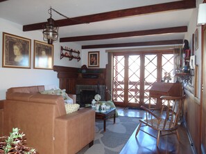 Tv, eldstad, dvd-spelare och böcker