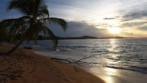 A beach with a palm tree and a sunset over the ocean. - Las Casas Costa Rica a private lodge in the Caribbean jungle (Cocles)
