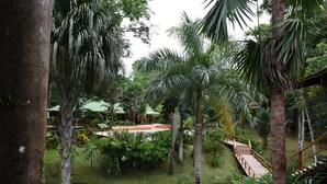 A lush garden with palm trees, a pool, and a wooden bridge. - Las Casas Costa Rica a private lodge in the Caribbean jungle (Cocles)