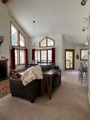 TV, fireplace, video library
