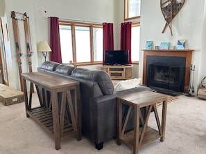 TV, fireplace, video library