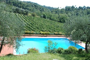Une piscine entourée d’une végétation luxuriante et située au pied d’une colline.