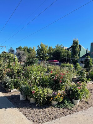 Jardines del alojamiento