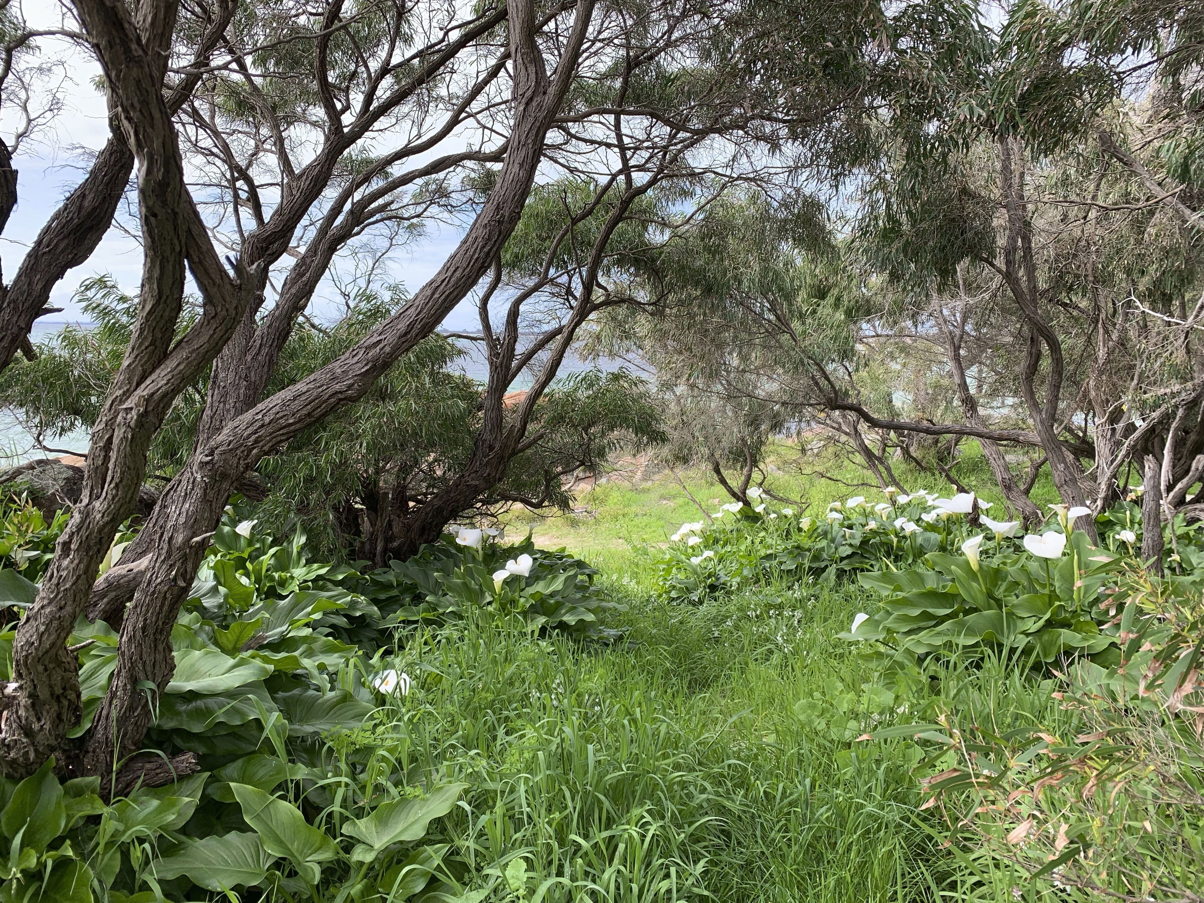 Red Cat Shack • Dunsborough — image 26
