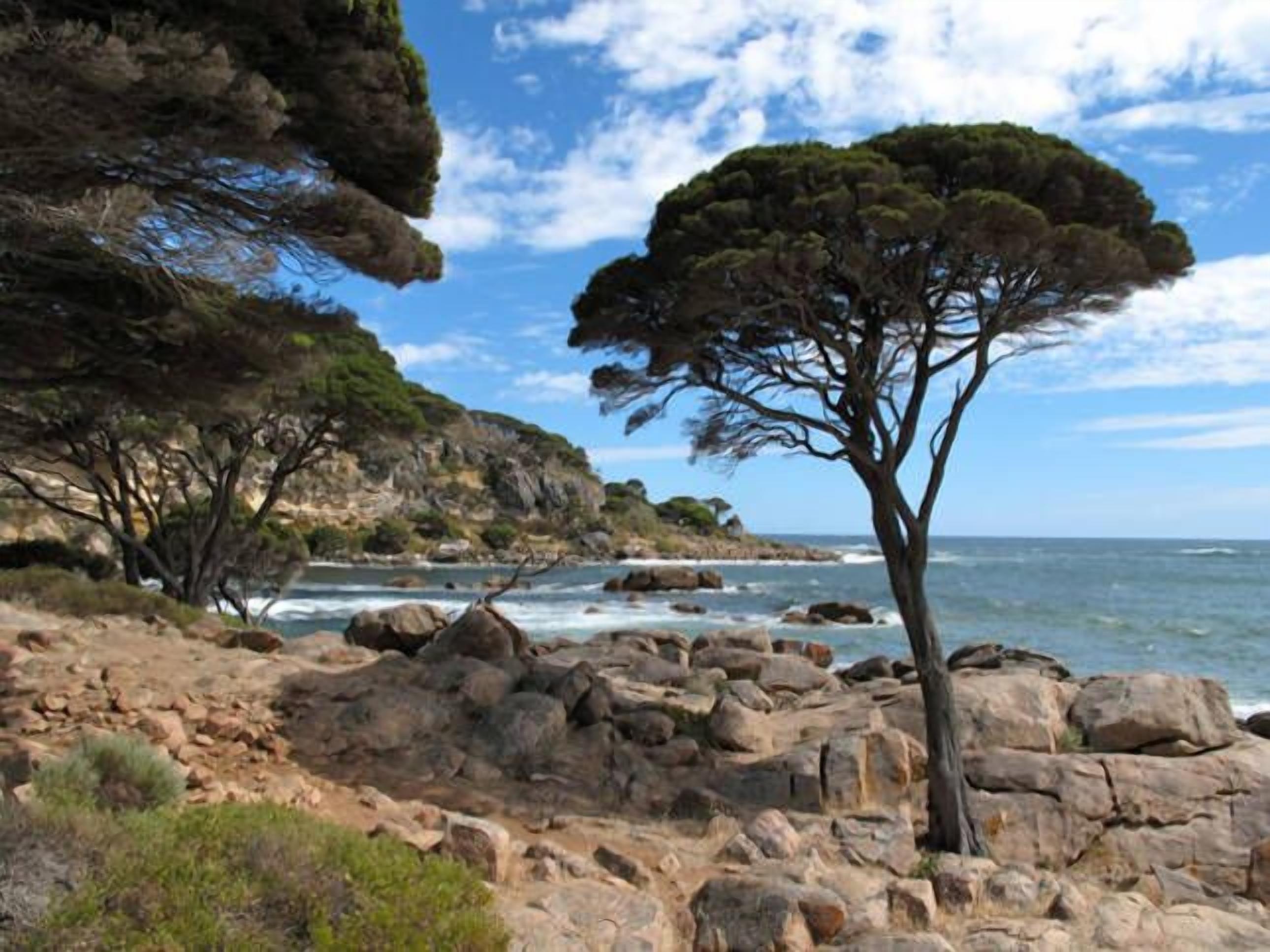 Red Cat Shack • Dunsborough — image 22