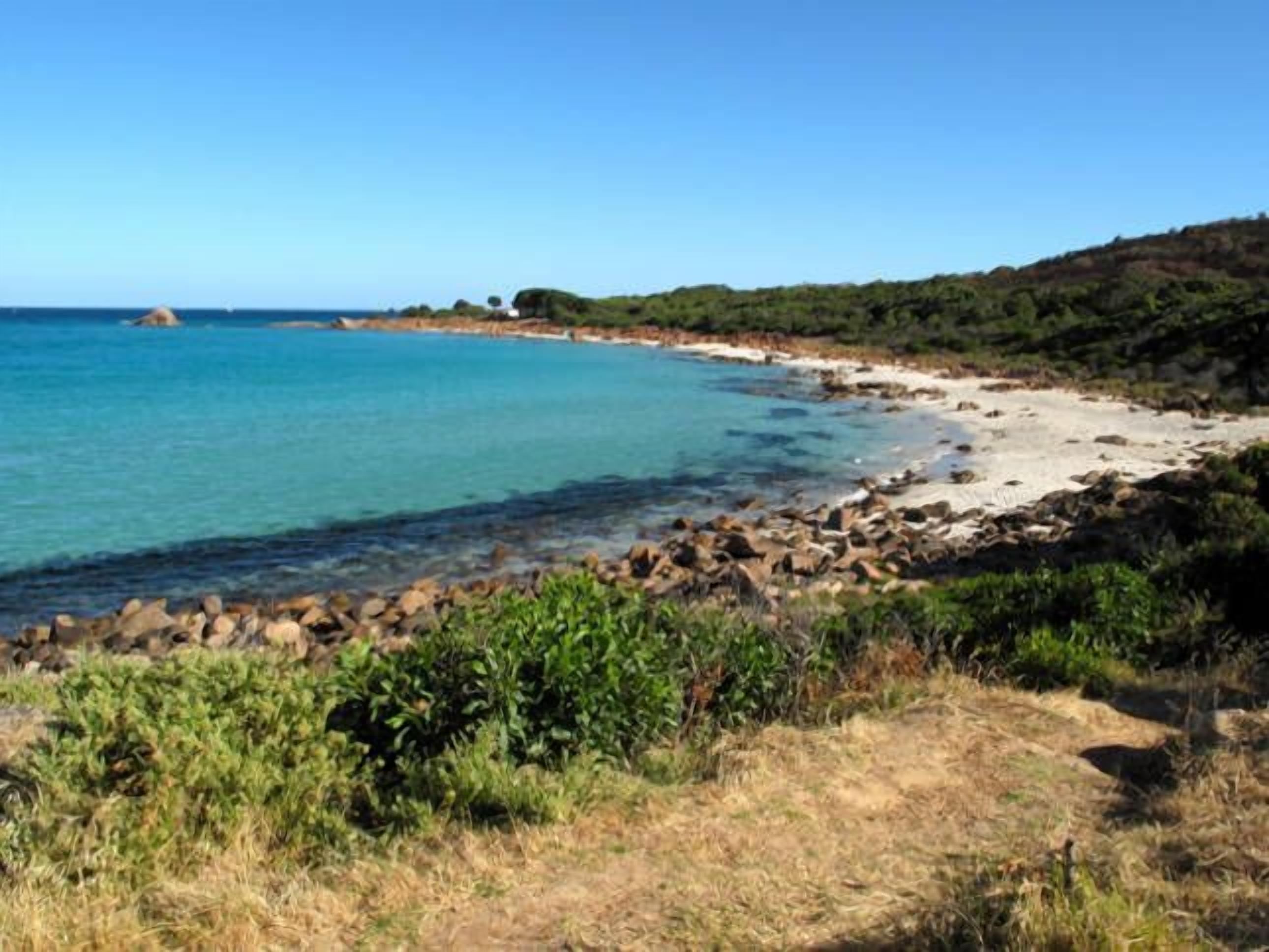 Red Cat Shack • Dunsborough — image 25