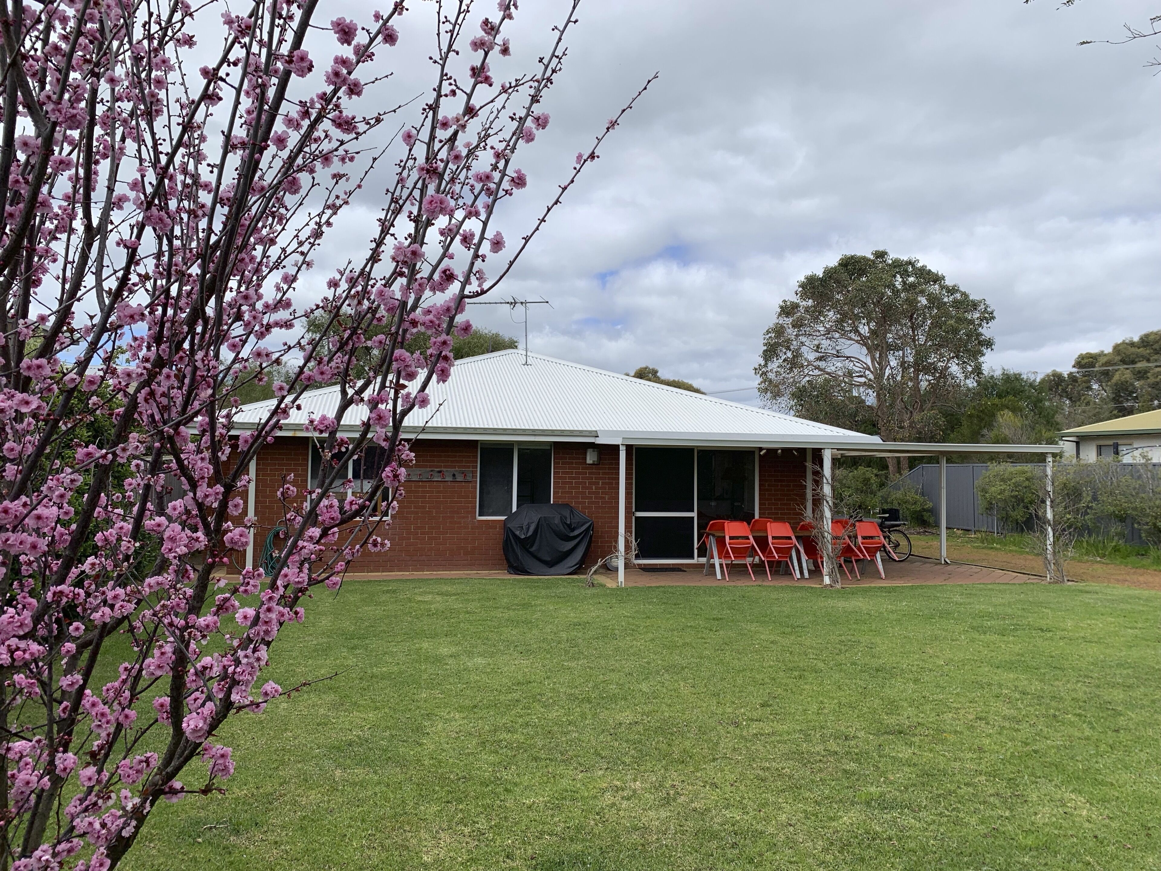 Red Cat Shack • Dunsborough — image 14
