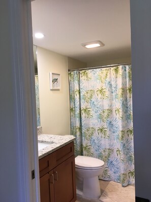 Combined shower/tub, hair dryer, towels, soap