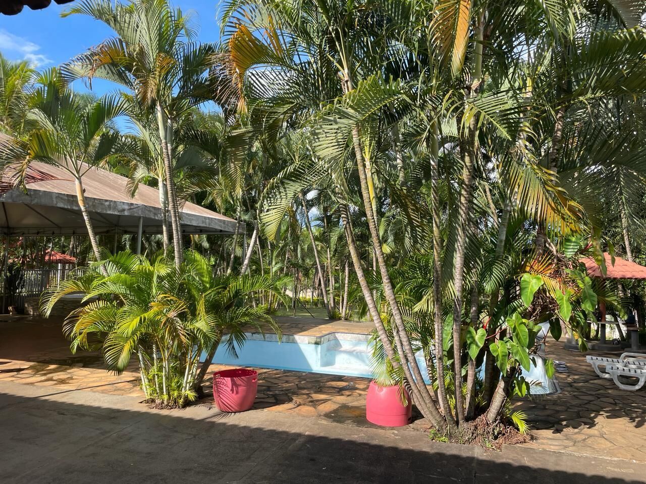 室外游泳池，恒温泳池