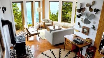 Fireplace, books, music library, video library