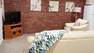 Smart TV, DVD player, books