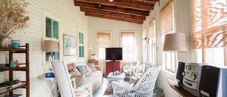 TV connectée, cheminée, lecteur de DVD, livres