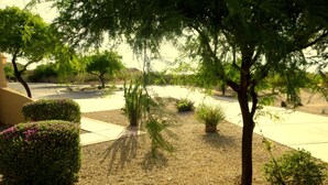 A landscaped garden with various plants and a paved walkway.