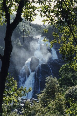 Imagen sin descripción, 3 de 26, botón