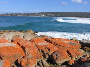 Beach nearby - The Tin Shed Binalong Bay, Bay of Fires, Tasmania.  (Binalong Bay)