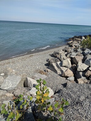 Playa en los alrededores y camastros
