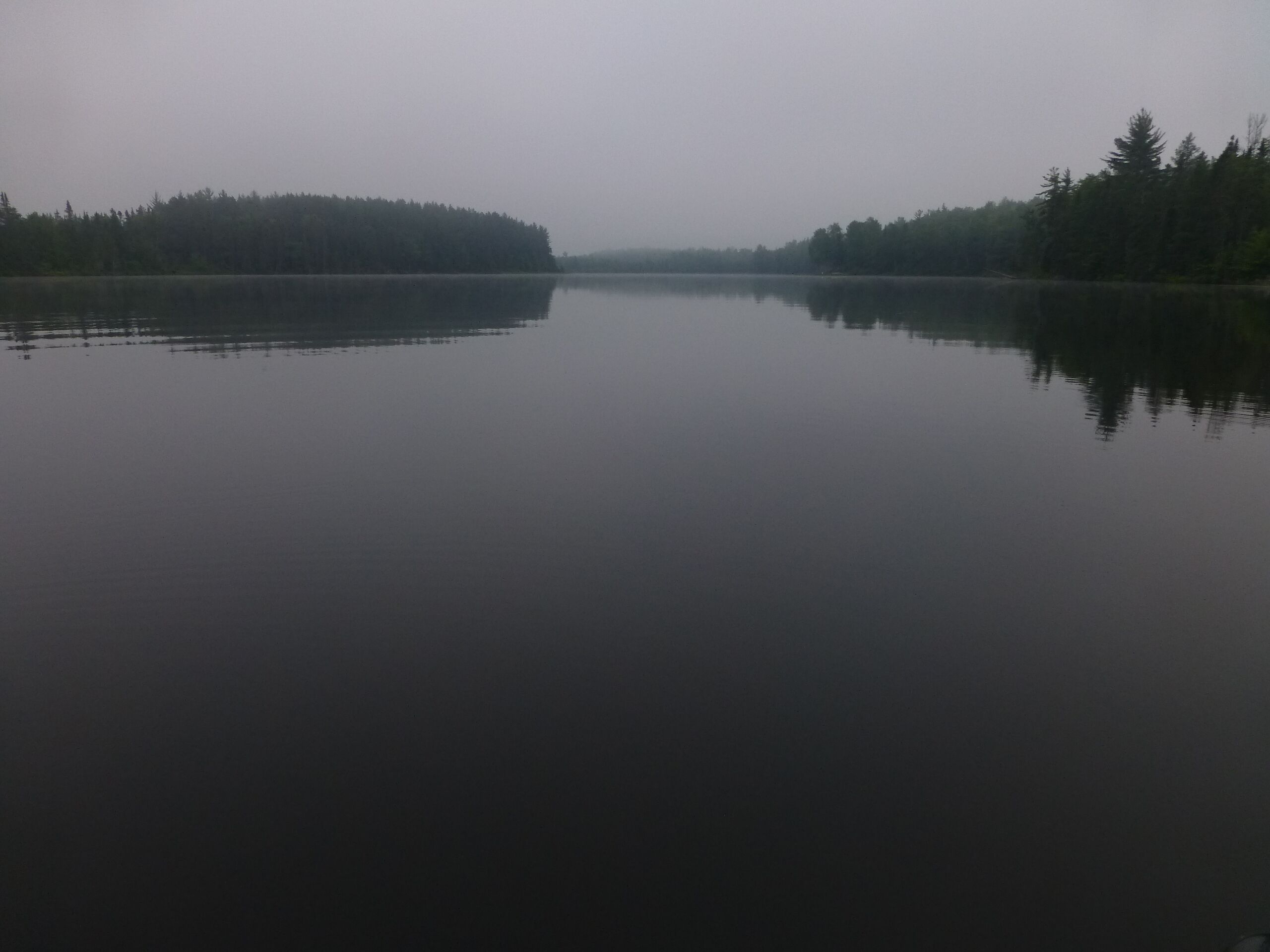 A calm lake with dense forest on both sides.