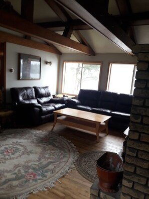 Smart TV, fireplace, video games, DVD player