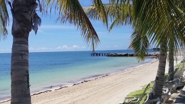 Una spiaggia con acque cristalline turchesi, una costa sabbiosa e un molo in lontananza.