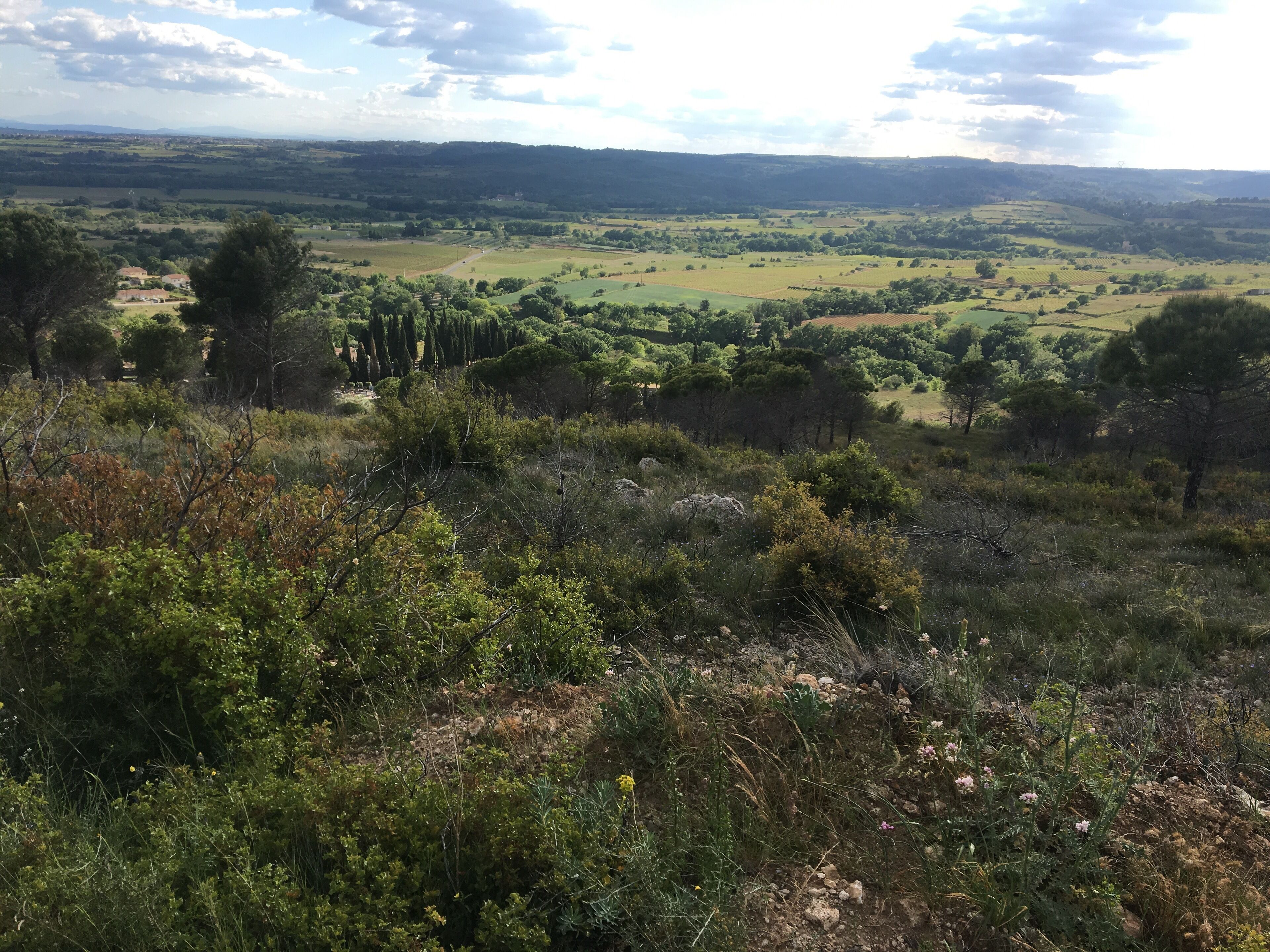 A landscape view with a valley, trees, and distant buildings.