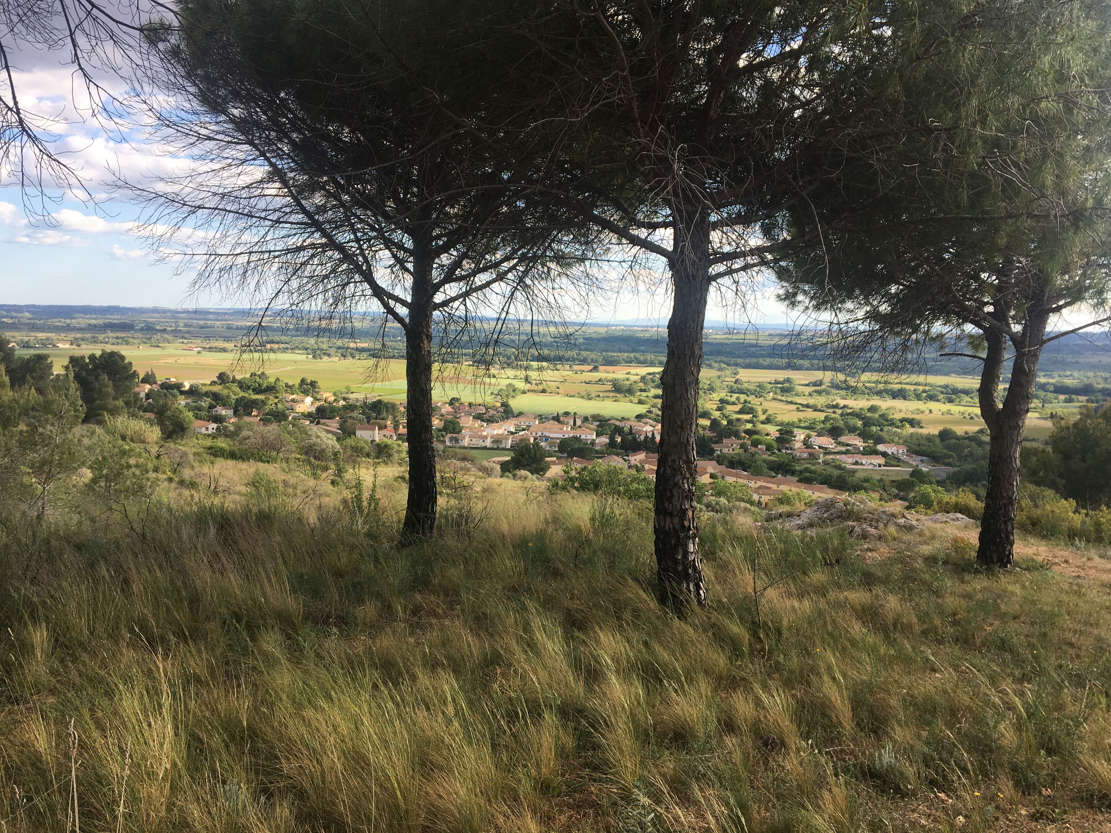 A rural landscape with trees and a village in the distance.