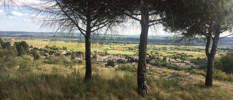 A rural landscape with trees and a village in the distance.