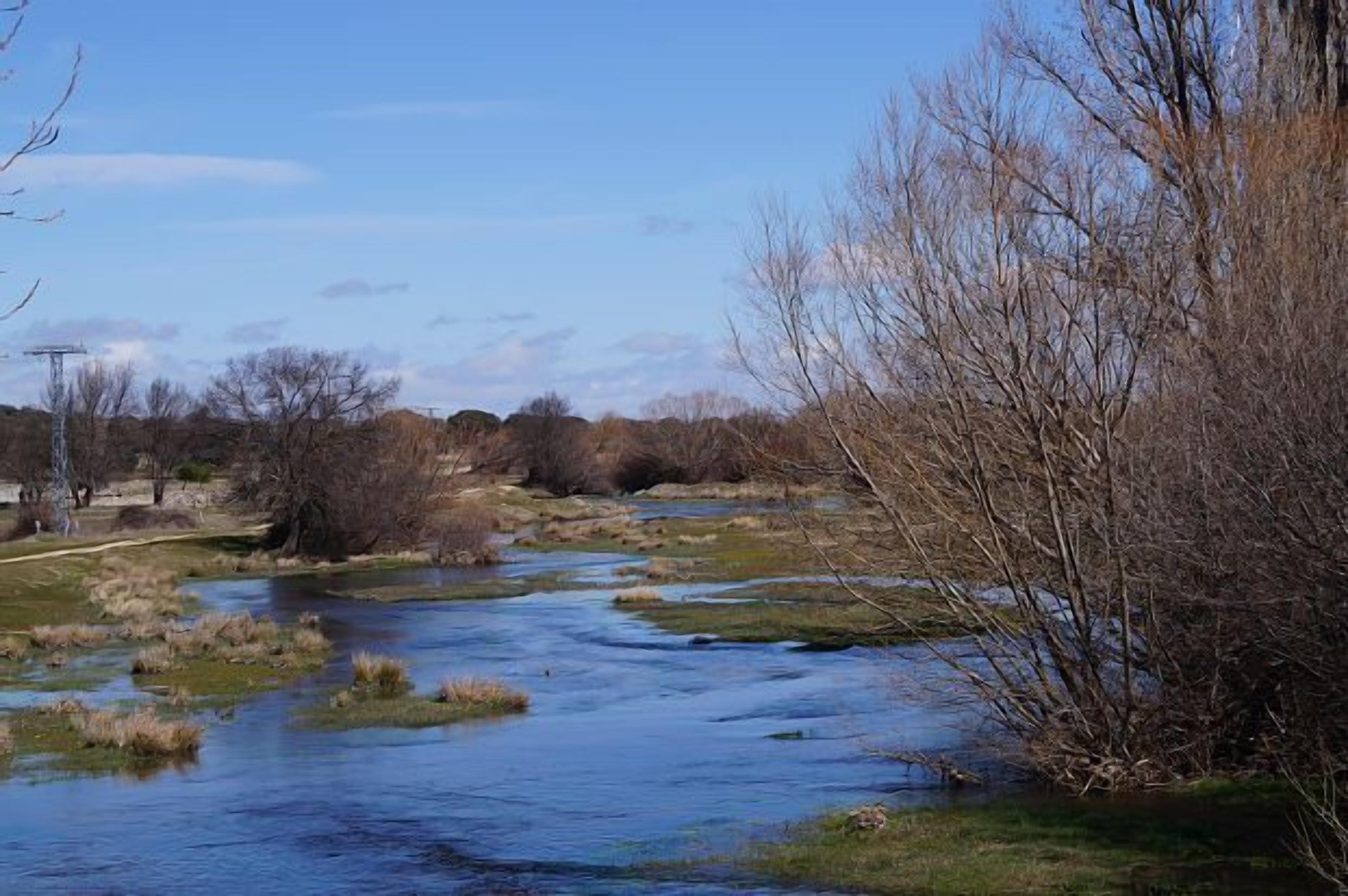 Une rivière qui traverse un paysage naturel, avec des arbres et un ciel dégagé.