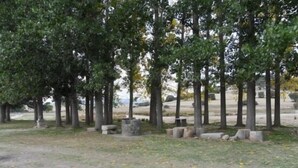 Ein Park mit Bäumen und Steinsitzen.
